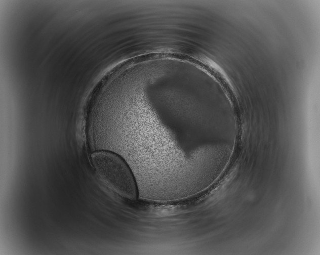 X0000090491019200707201533