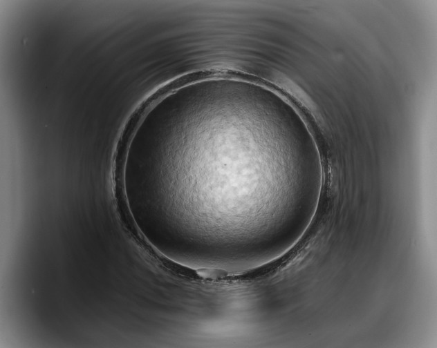 X0000090491020200707201533