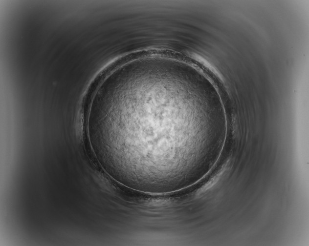 X0000090491021200707201533