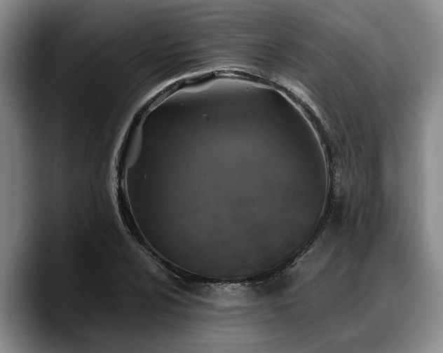 X0000090491024200707201533