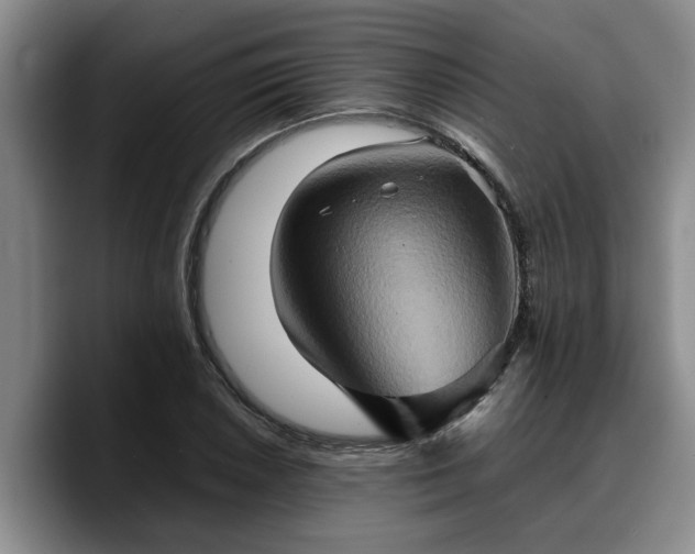 X0000090491026200707201533