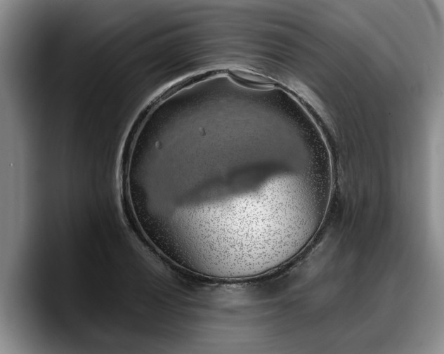 X0000090491028200707201533