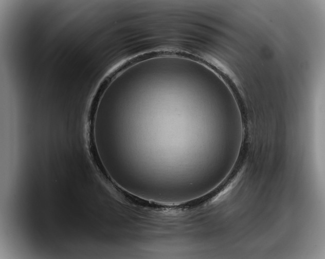 X0000090491029200707201533