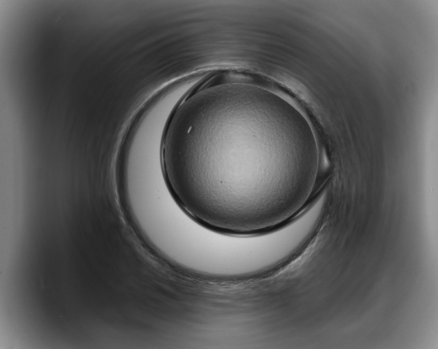 X0000090491030200707201533