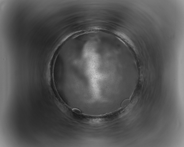 X0000090491031200707201533
