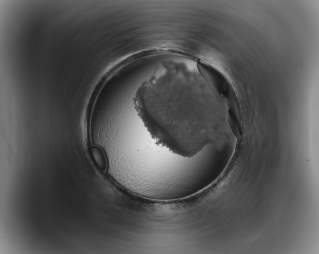 X0000090491032200707201533