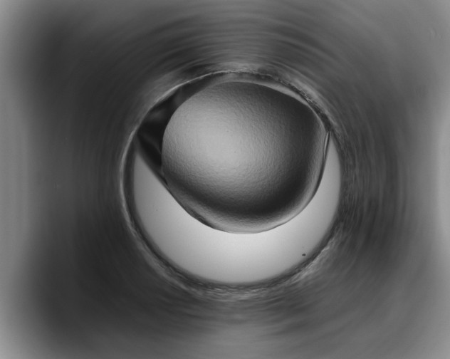 X0000090491034200707201533