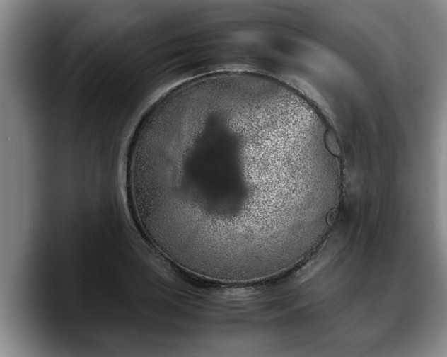 X0000090491035200707201533
