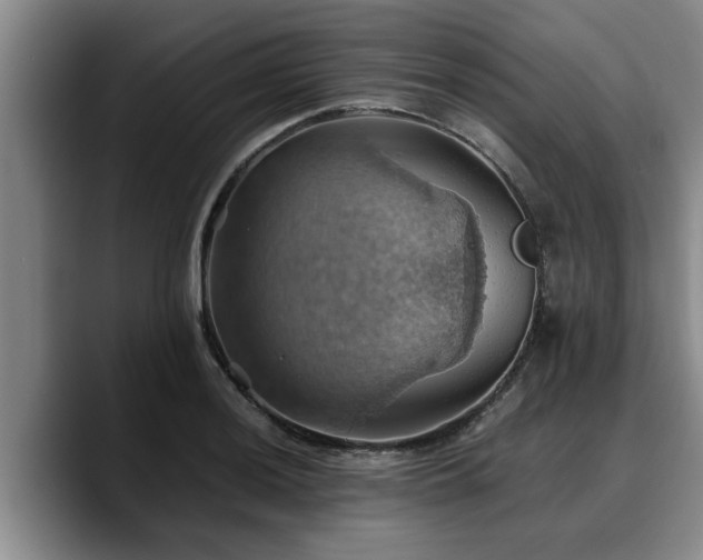 X0000090491036200707201533