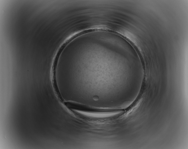 X0000090491037200707201533