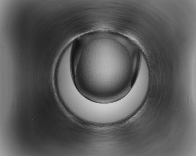 X0000090491038200707201534