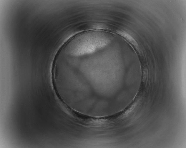 X0000090491039200707201534