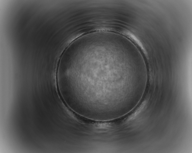 X0000090491041200707201534
