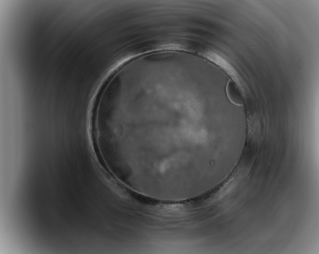 X0000090491043200707201534