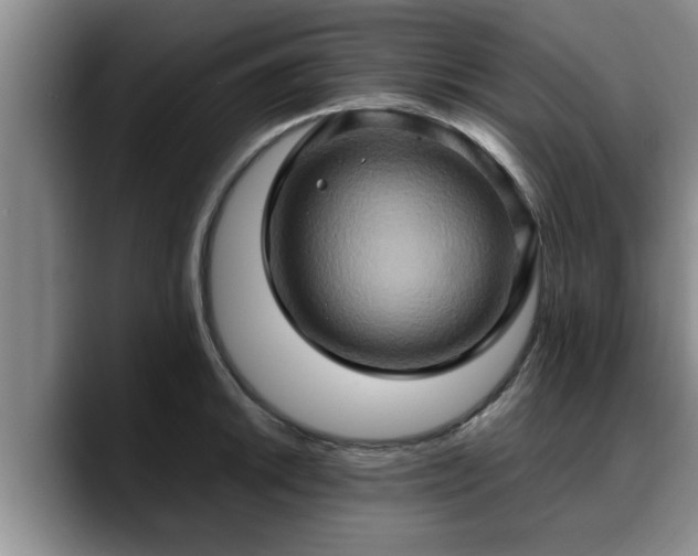 X0000090491046200707201534
