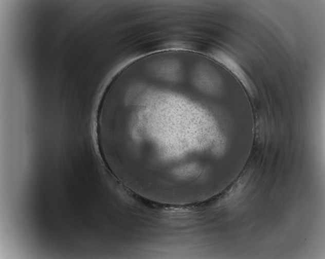 X0000090491051200707201534
