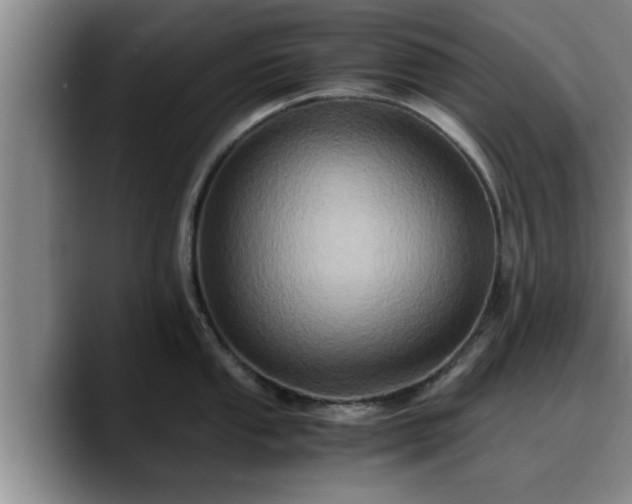 X0000090491053200707201534