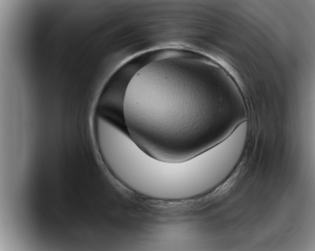 X0000090491054200707201534