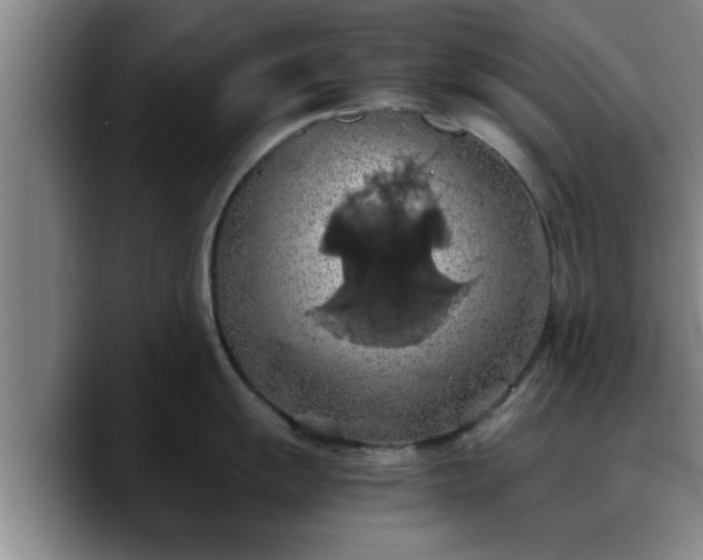 X0000090491055200707201534