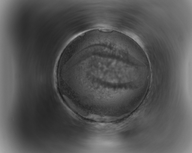 X0000090491056200707201534