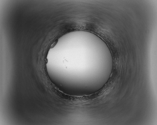 X0000090491057200707201533