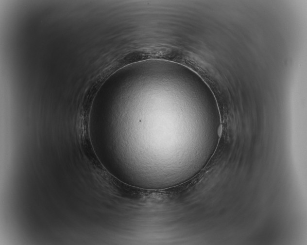 X0000090491058200707201533