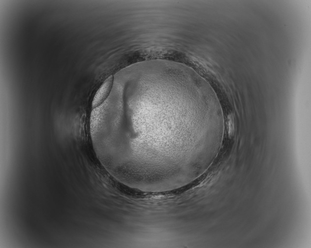 X0000090491059200707201533
