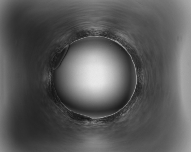 X0000090491061200707201533