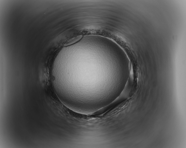 X0000090491062200707201533