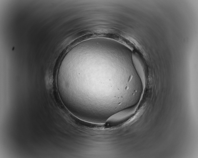 X0000090491065200707201533