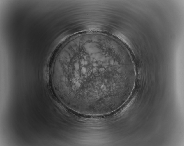 X0000090491067200707201533
