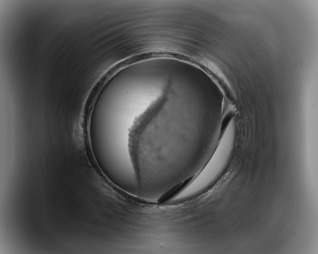 X0000090491068200707201533