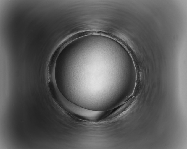 X0000090491069200707201533