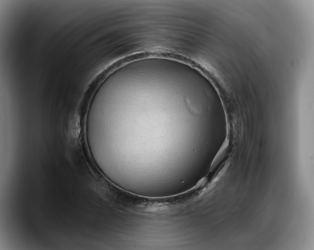 X0000090491070200707201533