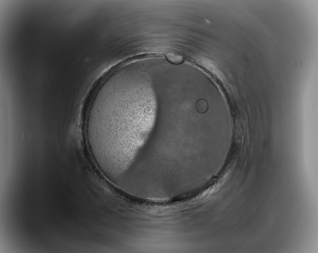 X0000090491071200707201533