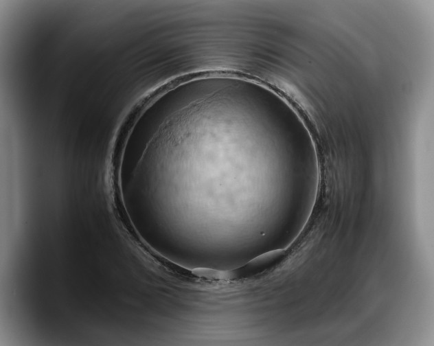 X0000090491072200707201533