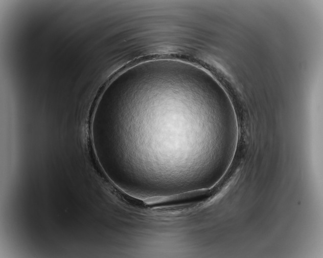 X0000090491073200707201533
