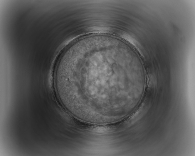 X0000090491074200707201533