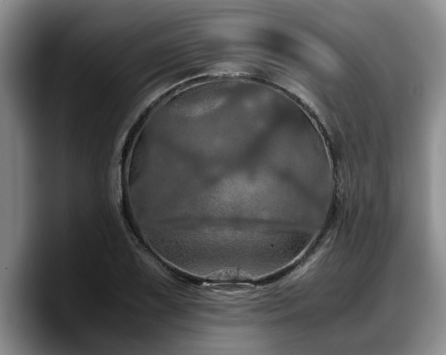 X0000090491075200707201533