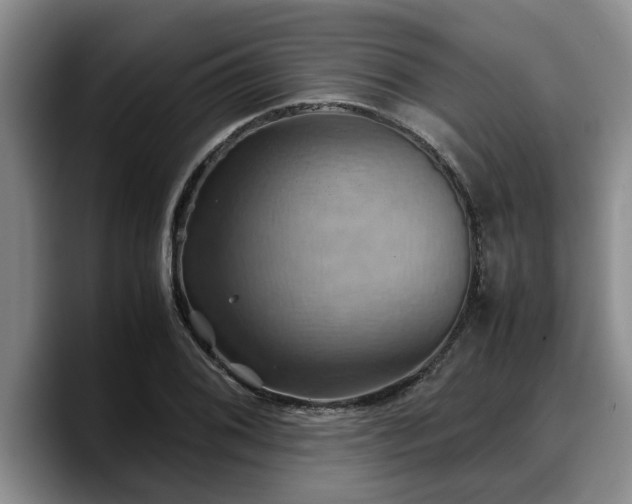 X0000090491076200707201533