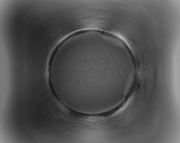X0000090491077200707201533