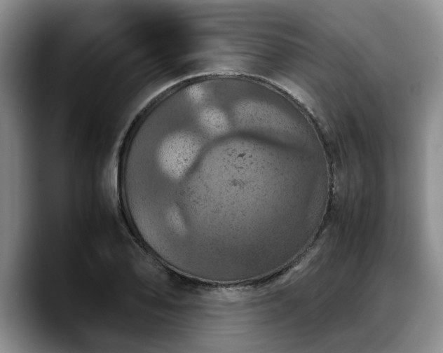 X0000090491078200707201533