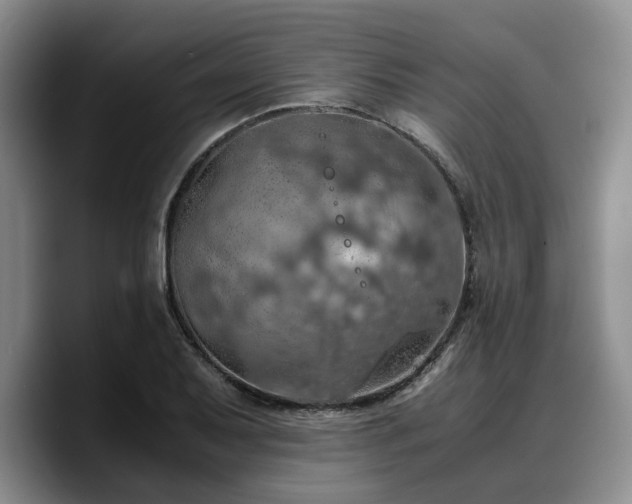 X0000090491079200707201533