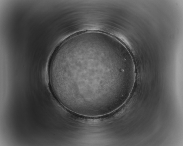 X0000090491080200707201533