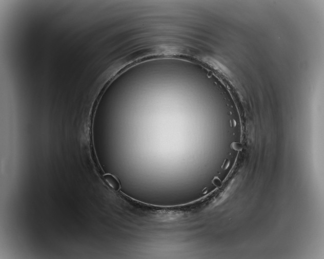 X0000090491081200707201533