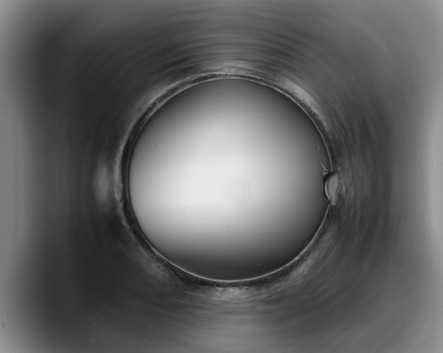 X0000090491082200707201533