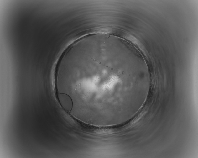 X0000090491083200707201533