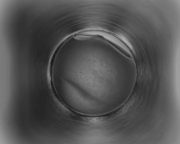 X0000090491084200707201533