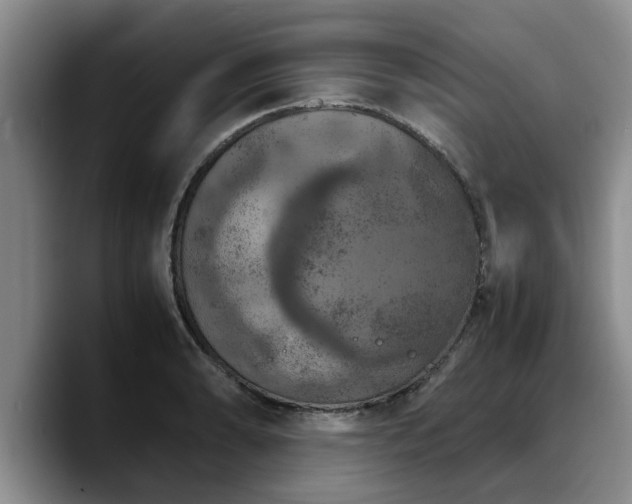 X0000090491086200707201533