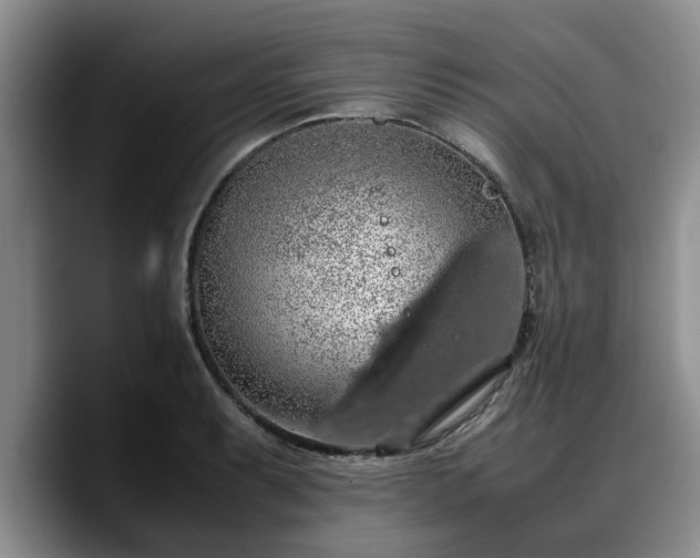 X0000090491087200707201533